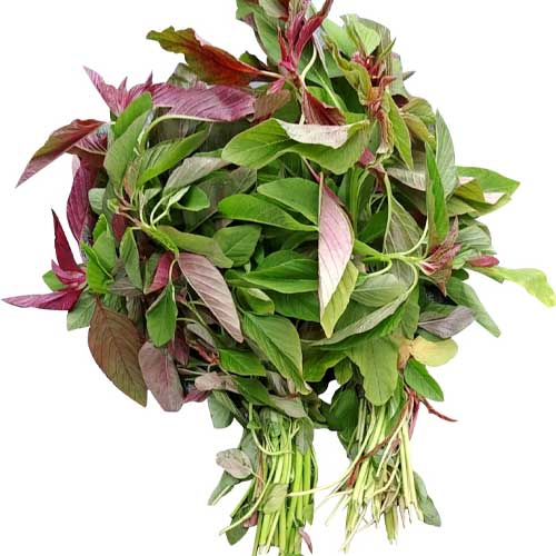 Amaranthus leaf