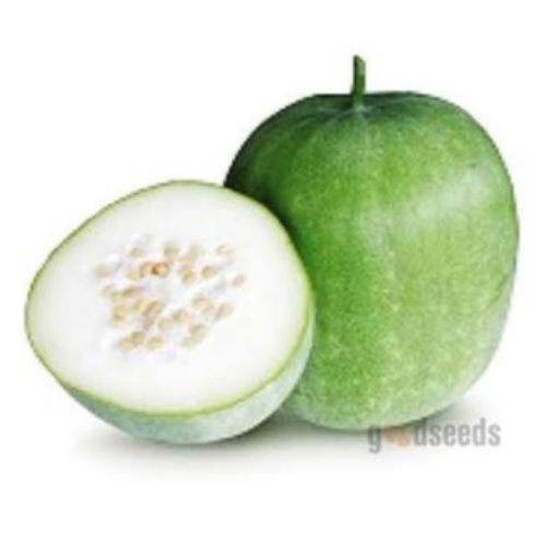 Ash gourd