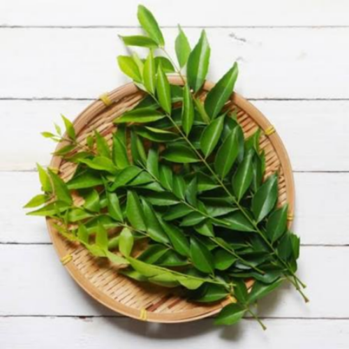 Curry leaf