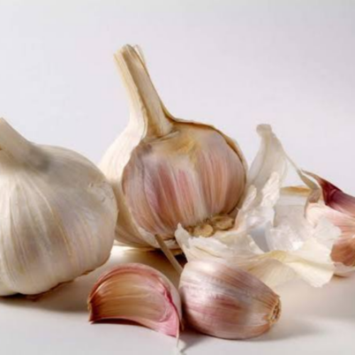 Garlic