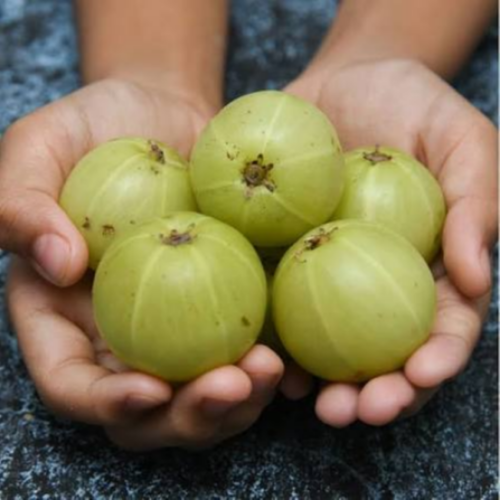 Gooseberry