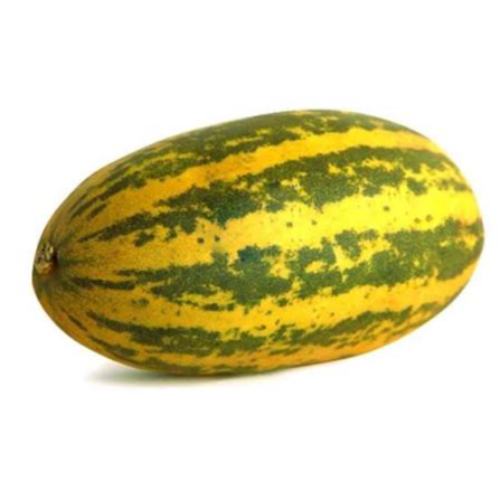 Malabar cucumber